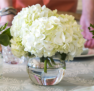 Simple Hydrangea